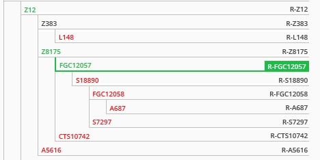 FTDNA R-Z12 haplotree FTDNA
R-Z12 haplotree